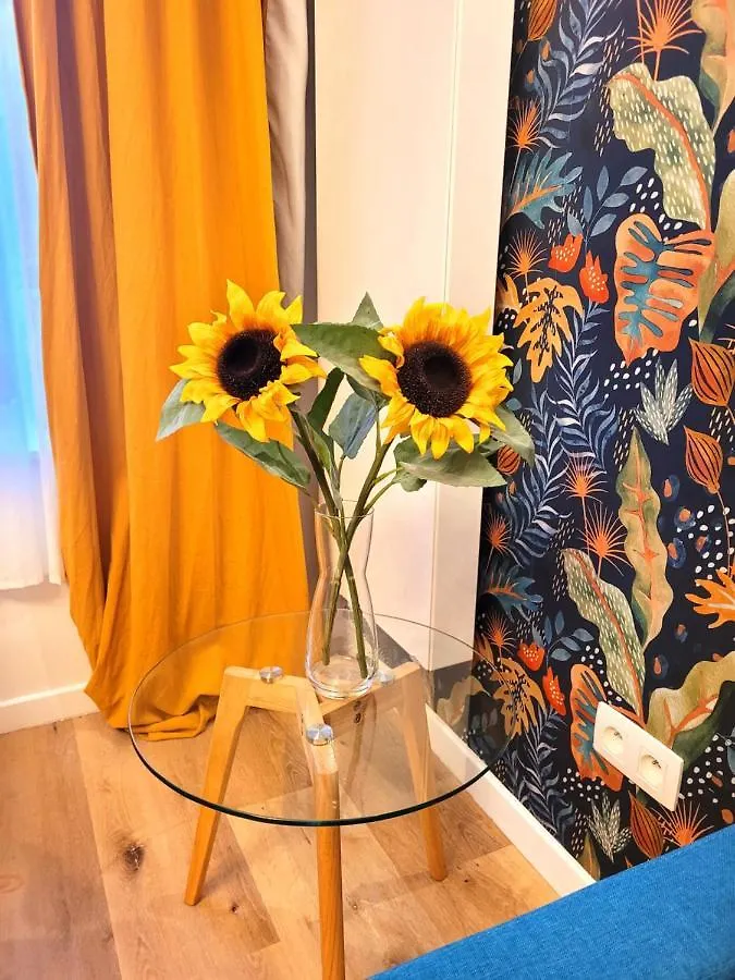 Guest house Brand New Iris Room With Private Bathroom And Balcony Brussels
